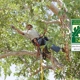 Brooksby Tree Care LLC