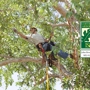 Brooksby Tree Care LLC