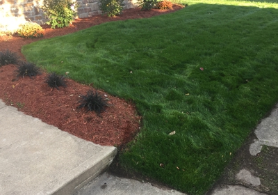 Rio Vista Landscaping 249 Autumn St 1 Passaic Nj 07055 Yp Com