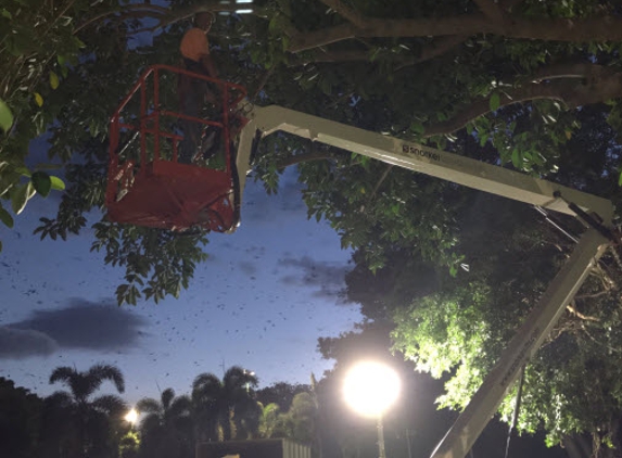 Skilled Tree Services Pty Ltd - Mundingburra, QLD