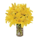 davidjohnflowers - Flowers, Plants & Trees-Silk, Dried, Etc.-Retail