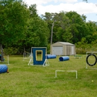 Bass Pet Resort & Spa