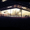 Phoenix Farm Inc - Horse Training