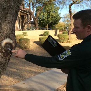 Yard Guard - Phoenix, AZ