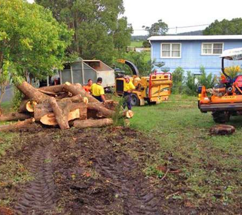 Woodvale Tree Service - Sancrox, NSW