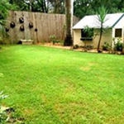 Gallery Image Number 2