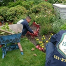 Sterling Tree & Lawn - Landscaping & Lawn Services