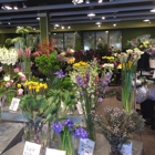 Field of Flowers - Boca Raton Flower Market