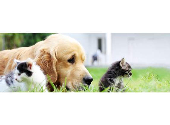 Stawell Veterinary Clinic - Stawell, VIC