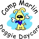 Camp Marlin Doggie Daycare - Dog Day Care