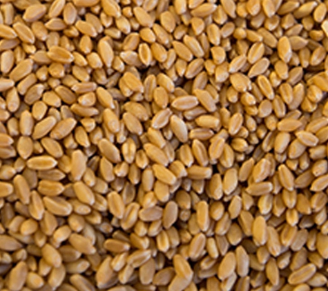 Farmgate Stockfeeds - Ecklin South, VIC