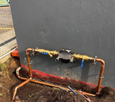 South Coast Plumbing & Roofing - Bolwarra, VIC