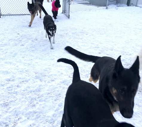 Eddie & Barkus - Fargo, ND