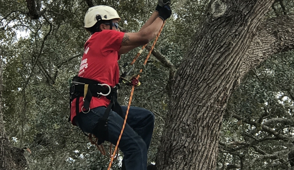 KDT Tree Service - Fern Park, FL