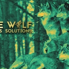 Lone Wolf Business Solutions