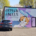 Orphan Angels Cat Sanctuary & Adoption Center