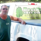 Best Price Tree Service