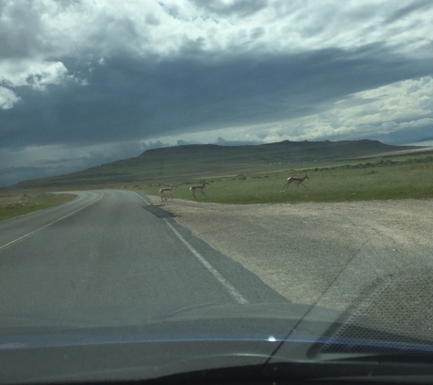 Antelope Island State Park - Syracuse, UT