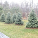 Elite Property & Fence - Landscape Contractors