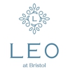 LEO at Bristol gallery