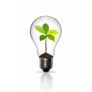 Online Business eSystems - Kalgoorlie, WA