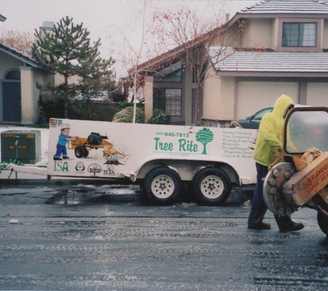 tree rite arborists - lancaster, CA