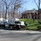 Arbor-Nomics Turf, Inc. Lawn Care Services & Grass Treatment