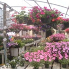 Smith Mountain Plants, Flowers, Produce