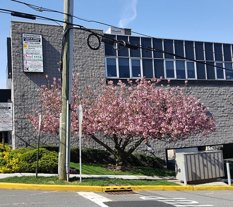 Chang's Acupuncture & Herbs 장 한의원 - Ridgefield, NJ