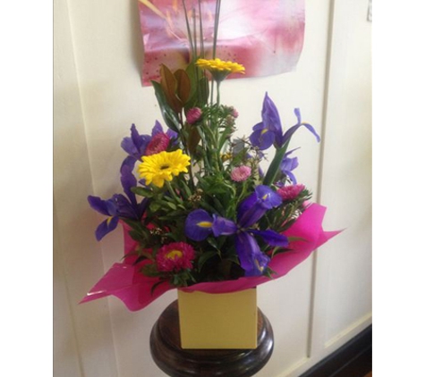 Boronia Exclusive Florists - Ballarat Central, VIC