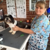 Tammy's Dapper Dog Grooming gallery