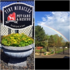 Tiny Miracles Farm Petcare and Rescue