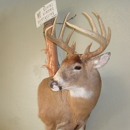 Animal Gallery - Taxidermists