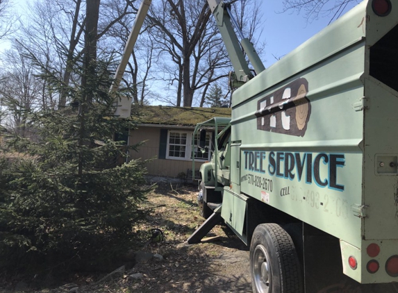 tlc tree service - Dingmans Fry, PA