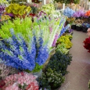 Pedals Flower Shop - Flowers, Plants & Trees-Silk, Dried, Etc.-Retail