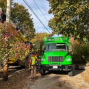 Top Notch Tree, Inc. - Tree Service