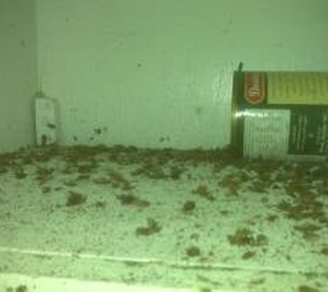 A Access Denied Pest Control - Las Vegas, NV