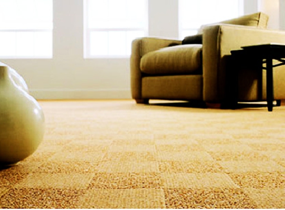 Laguna Niguel Carpet Cleaning Service - Laguna Niguel, CA