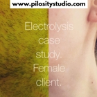 Pilosity Studio