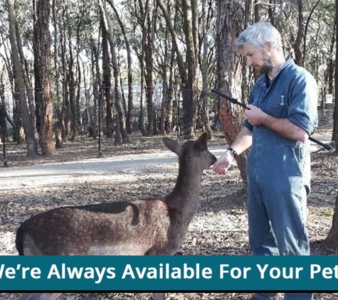 Drouin Veterinary Clinic - Drouin, VIC. We’re Always Available For Your Pets