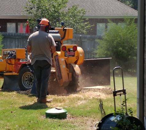 Shelton Stump Grinding - Ward, AR