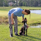 Pivotal Dog Training