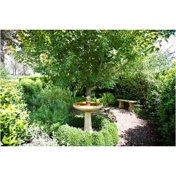 Gallery Image Number 7