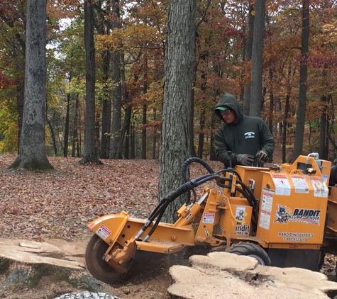 Innovation tree services and landscaping - Somerset, NJ