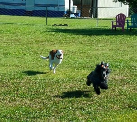 Labby Lane Kennel - Harrison, TN