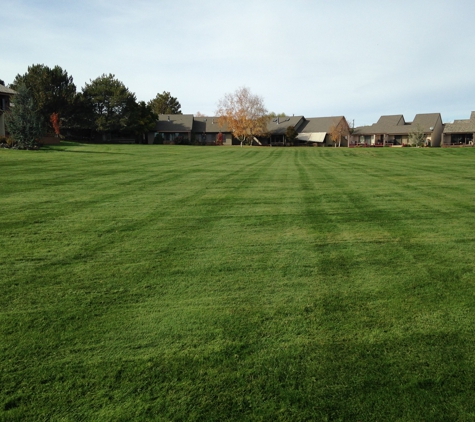 Green Blades - Nampa, ID. Lawn with Stripes by Green Blades Lawn Maintenance