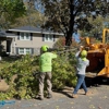 Kingkiner Tree Service gallery