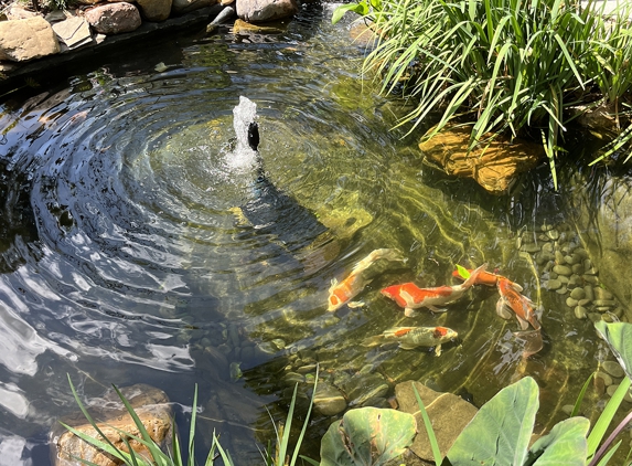 Focal Point Ponds - Tampa, FL