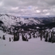 Alpine Meadows