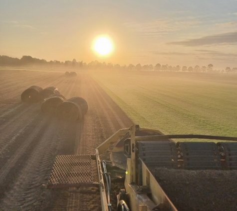 Qualturf - Richmond Lowlands, NSW